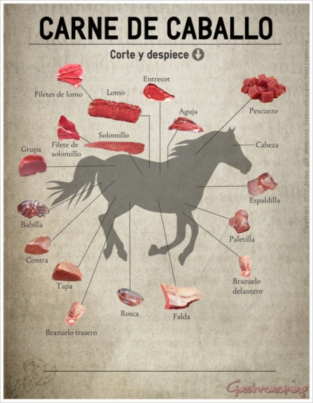 carne-de-caballo-corte-y-despiece